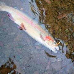 のんびり楽しく釣りをしたいです。