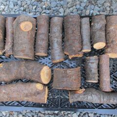 ゴロ薪・桜の広葉樹  :  期間限定　受付～2/10 18:00迄の画像