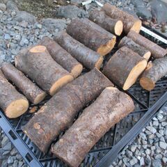 ゴロ薪・桜の広葉樹  :  期間限定　受付～2/10 18:00迄の画像