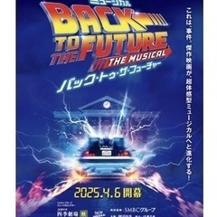 バックトゥザフューチャー、パートⅡ、DVDの画像