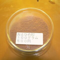 メダカ  と金魚のエサ      おとひめB2        ５００円の画像