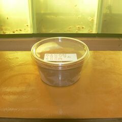 メダカ  と金魚のエサ      おとひめB2        ５００円