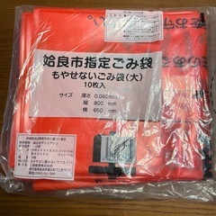 姶良市　ゴミ袋　大　10枚入　