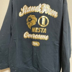 ネスタ　パーカーの画像