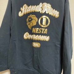 ネスタ　パーカーの画像