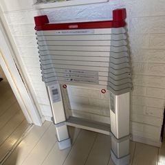 1連はしご  LS スカイラダー　長谷川　ls49の画像