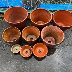 鉢　まとめ売りの画像