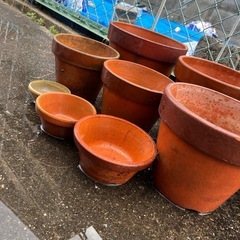 鉢　まとめ売りの画像