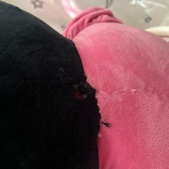 ミニーちゃんの大きいぬいぐるみの画像