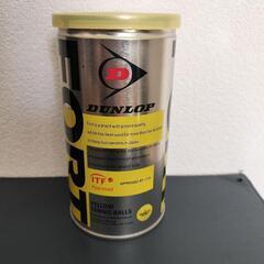FORT テニスボール1缶 2個入り
