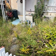 依頼大募集