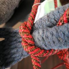 ハンモック　組み立て式の画像