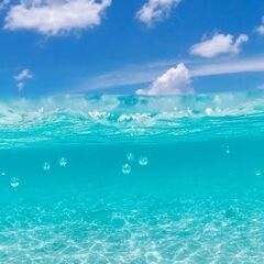 📢急募📢2月10日(月)～22日(土)💫短期でも！長期でも大歓迎...
