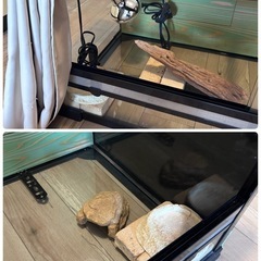 爬虫類 90㎝ケージ　飼育セット の画像