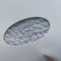 三越ハンカチの画像