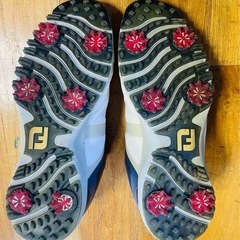 フットジョイ（FootJoy）（メンズ） ゴルフシューズ27.cm 4Eの画像