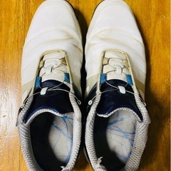 フットジョイ（FootJoy）（メンズ） ゴルフシューズ27.cm 4Eの画像