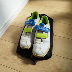adidas　ゴルフシューズ　25.5 シューズケースも！