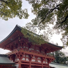 2月9日・八雲氷川神社へ一緒にいきませんか？☺️🌳