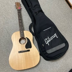 Gibson g45
