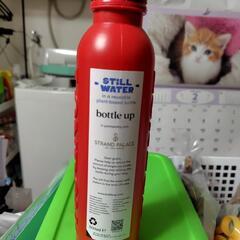 水筒　ロンドンの画像