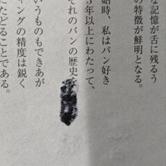 パン好きな方お勧めパンラボ 著者サイン入りの画像