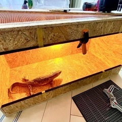 90cm爬虫類ケージ