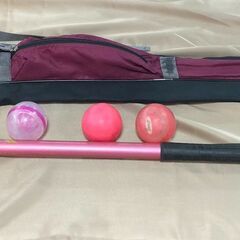 アシックス　ゲートボール　ターゲットショット　GGG192
