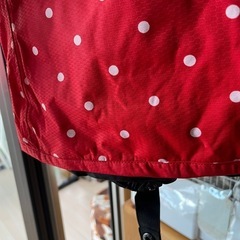 赤　スノボパンツの画像