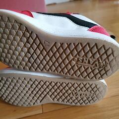 VANSスニーカーの画像