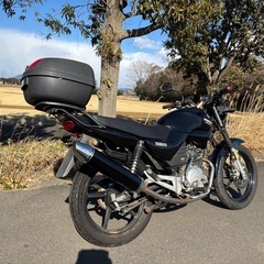 YBR125
の画像