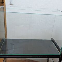 GEX60センチフレームレス水槽グラステリア①熱帯魚の画像
