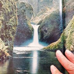 LIFE Nature Library 日本語版の画像
