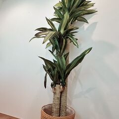 ※値下げ※【1点限り】フェイクグリーン大の画像