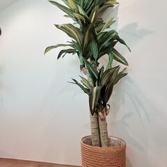 ※値下げ※【1点限り】フェイクグリーン大の画像