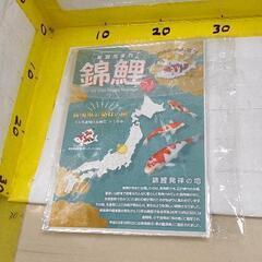 0207-247 錦鯉ペーパークラフト