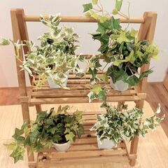 ※値下げ【4個セット】美品✨ミニフェイクグリーンセット④の画像