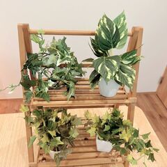 ※値下げ【4個セット】美品✨ミニフェイクグリーンセット⑤の画像