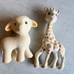 キリンのソフィ