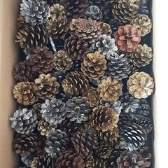 松ぼっくり多数　リース材料の画像