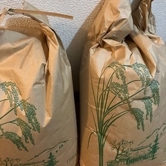 減農薬玄米20キロ