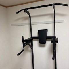 懸垂 ぶら下がり健康機 マット