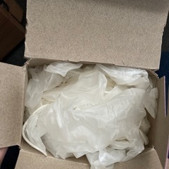 ビニール極うす手袋Lサイズ パウダーフリーの画像