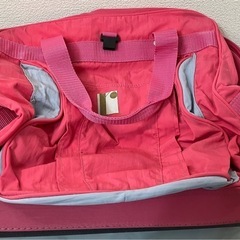 スキーとか雪山に持っていく様なバック(中古）
