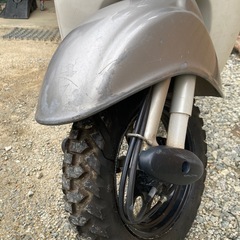 50ccスクーター ホンダ ジョルノ AF24の画像