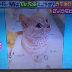 firetvstick  32型テレビ