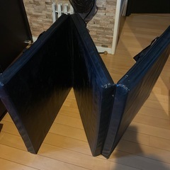春日幼稚園　体操マット　よこみね式