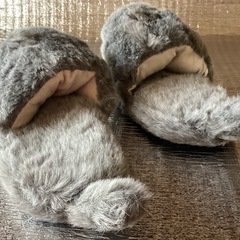 あらいグマのスリッパ
の画像