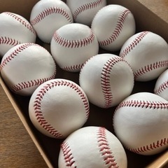 リサイクルボールの画像