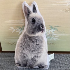ニトリ ★ モチモチクッション キキ　人気